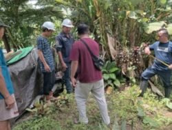 Pembangunan Jembatan Perintis Garuda di Rap-Rap Mulai Dikebut, Dukung Akses dan Perekonomian Warga