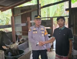 Cegah PMK ,Bhabin Kelurahan Mararena Sambangi Peternak Sapi 