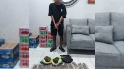 Satuan Reserse Narkoba Polresta Manokwari Berhasil Ungkap Kasus Tindak Pidana Narkotika Golongan I Jenis Ganja