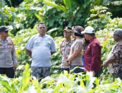Wakapolda Papua Barat dan Kepala BRMP Optimalkan Pengembangan Benih Jagung untuk Ketahanan Pangan Papua Barat