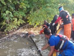 Tim SAR Gabungan Temukan Korban Tenggelam di Sungai Tor, Operasi Pencarian Resmi Berakhir