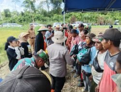 Polri Hadir Dukung Ketahanan Pangan, Kapolsek Bonggo Ikut Tanam dan Panen Bersama Petani Tetom Jaya